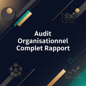 Audit Organisationnel Complet Rapport