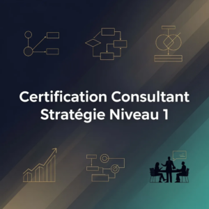 Certification Consultant Stratégie Niveau 1