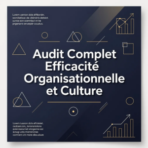 Audit Complet Efficacité Organisationnelle et Culture